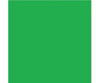 Kartong värviline Folia A4, 300g/m² - 50 lehte - mururoheline